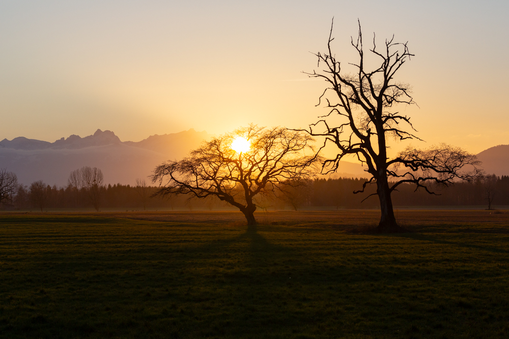 Lauteracherried im Jänner 97